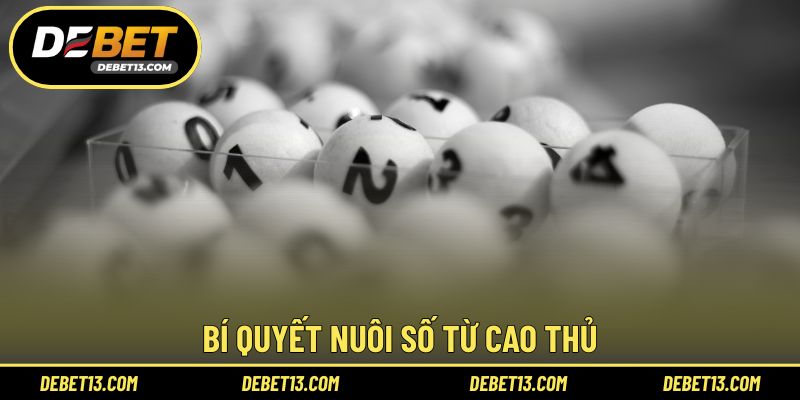 Bí quyết nuôi số từ cao thủ