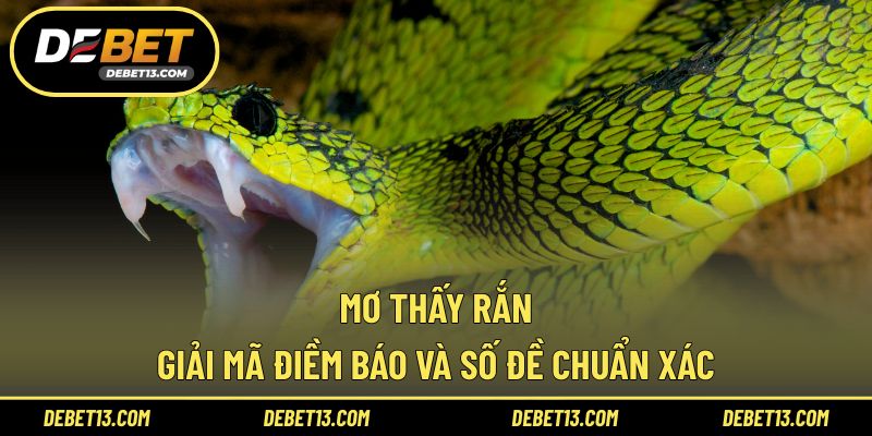 Mơ thấy rắn